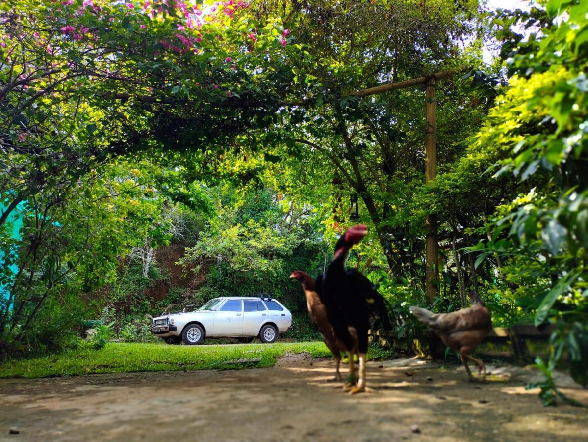 The 1964 Holiday Bungalow Ella Luaran gambar